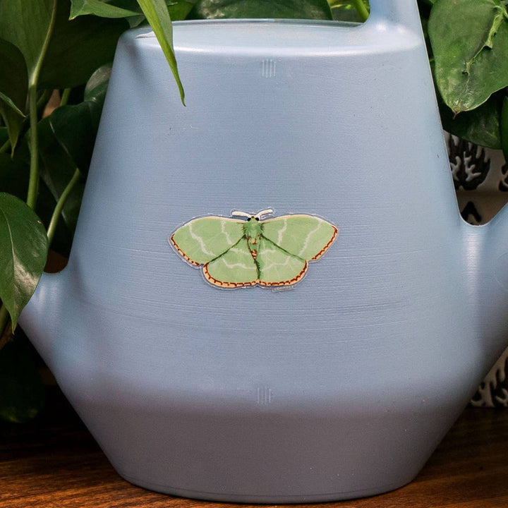 Emerald Moth Sticker