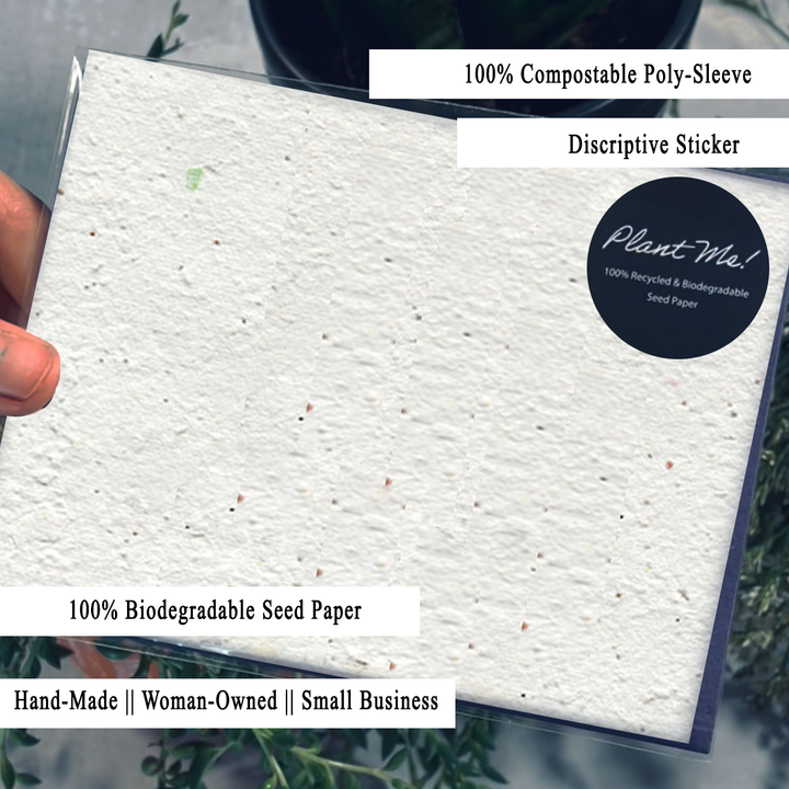 Plantable Thank you Evergreen Wildflower Greeting Card