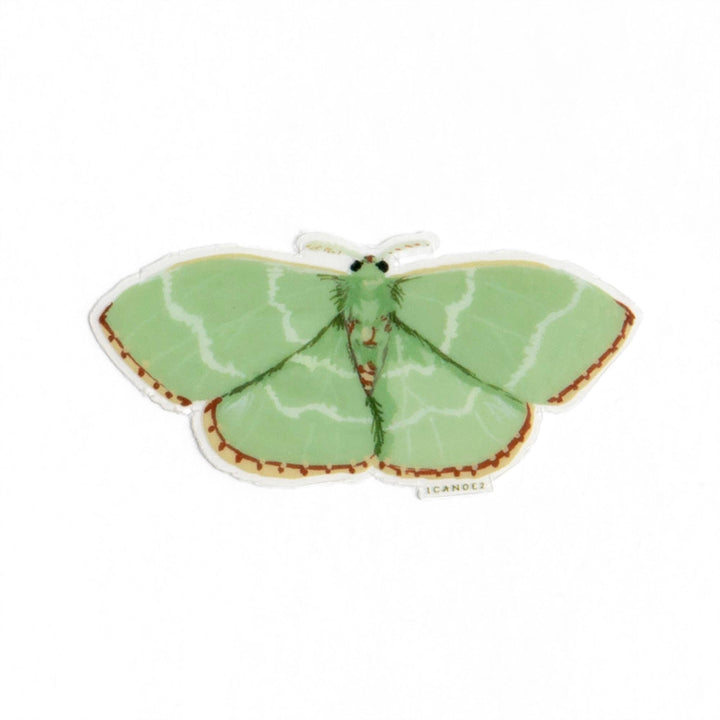 Emerald Moth Sticker