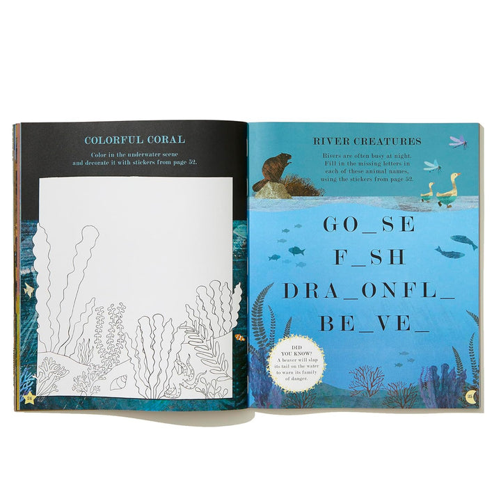 MOON A Peek-Through Activity Book