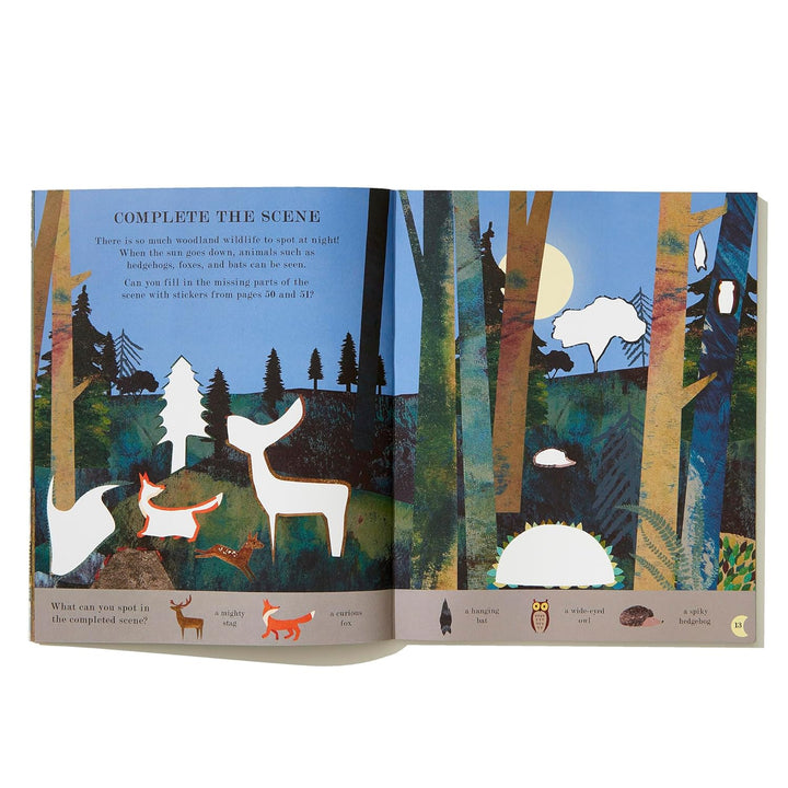 MOON A Peek-Through Activity Book