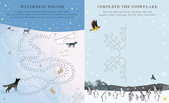 MOON A Peek-Through Activity Book