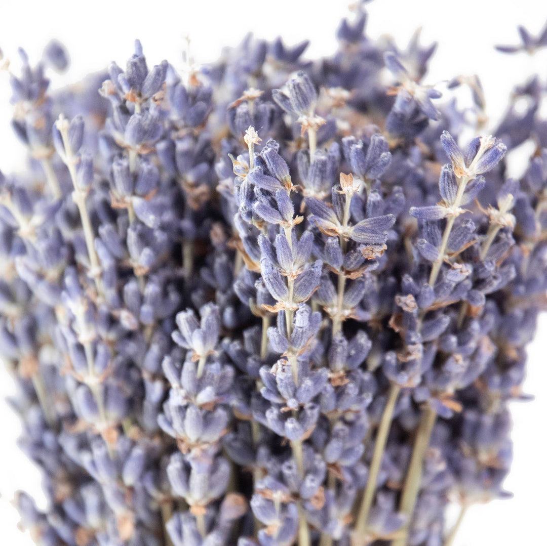 French Lavender Dried Mini Bundle