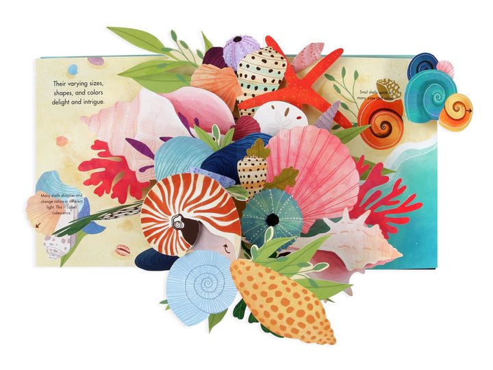 Shells: A Pop-Up Book Of Wonder - Merry Piglets