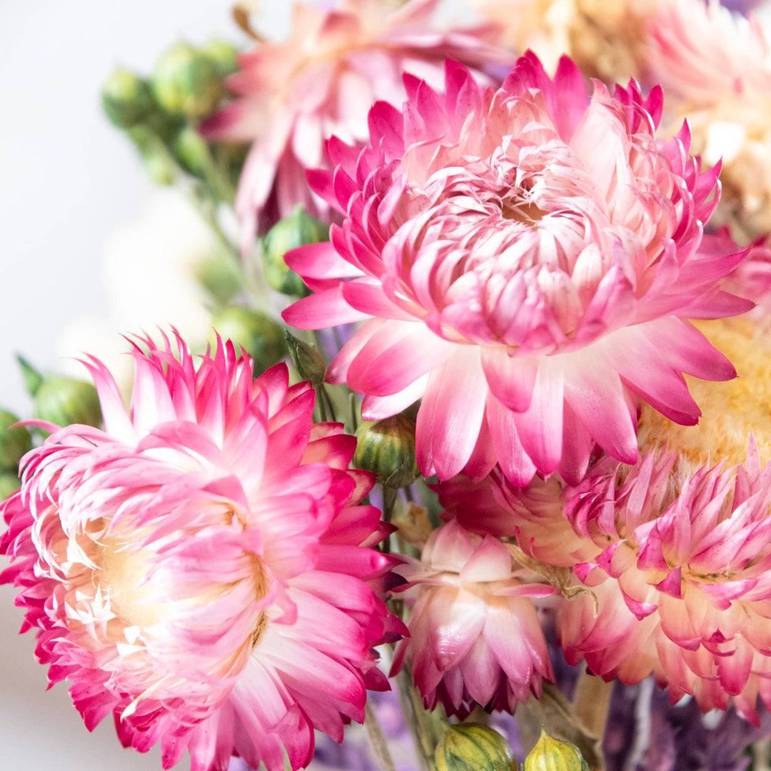 Strawflower & Larkspur Mini Bouquet