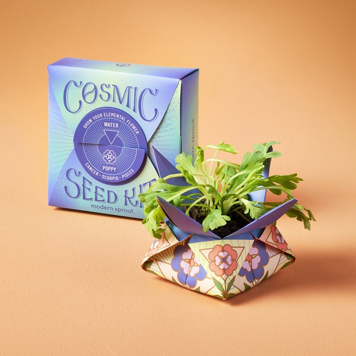 Cosmic Seed Kit - Water - Merry Piglets