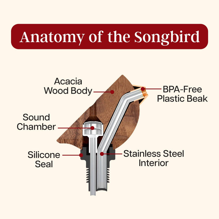 Blue Songbird Wine Bottle Pourer