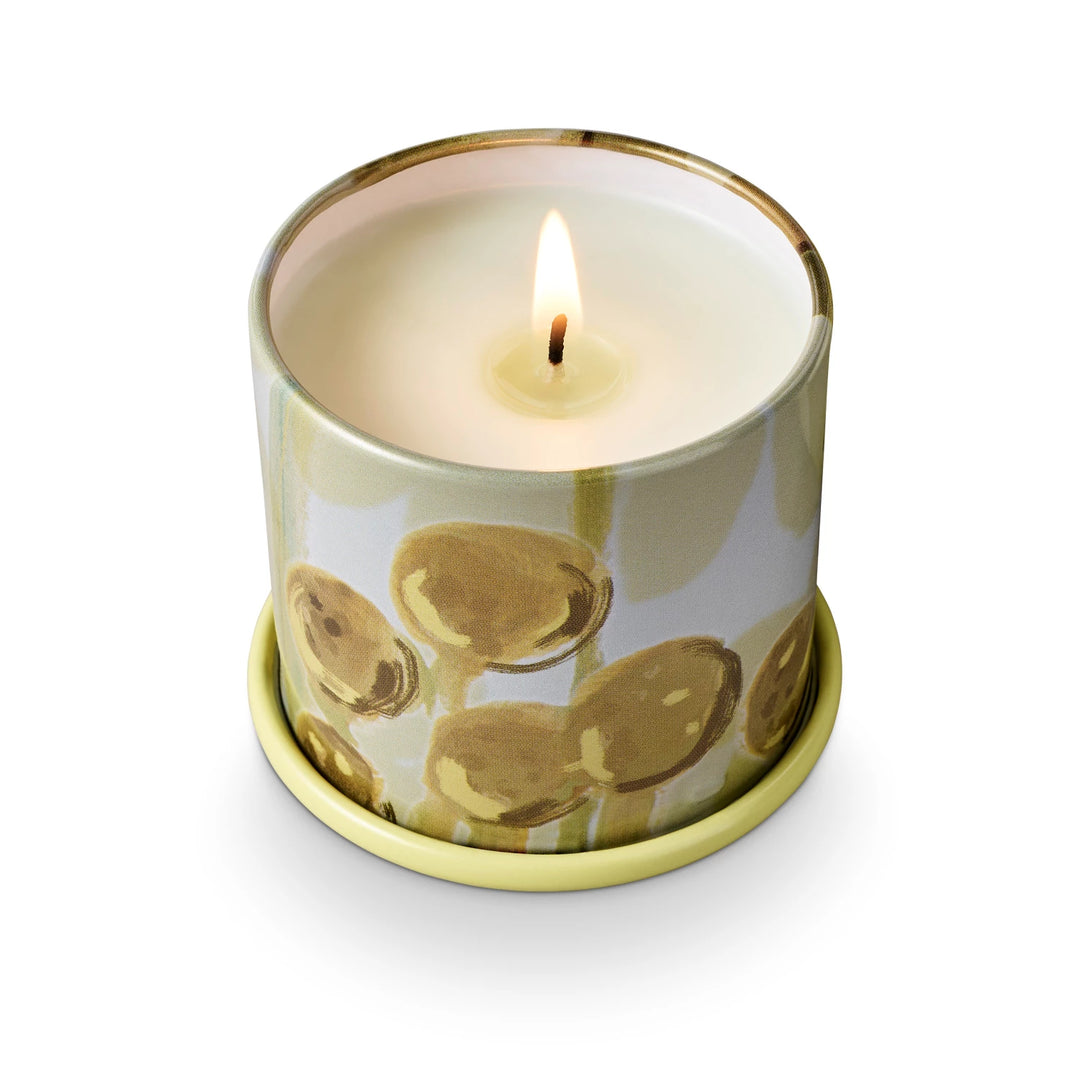 Borealis Moss Tin Candle