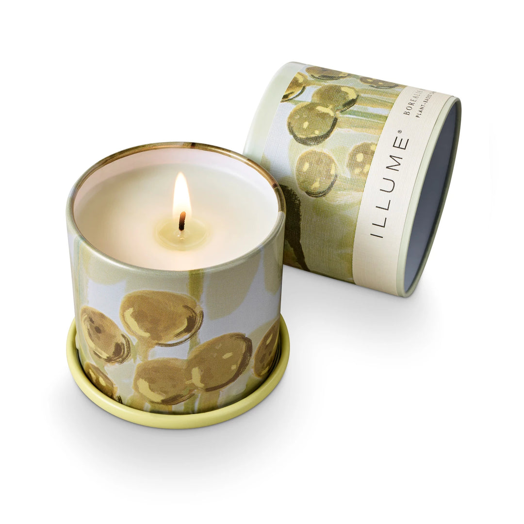 Borealis Moss Tin Candle