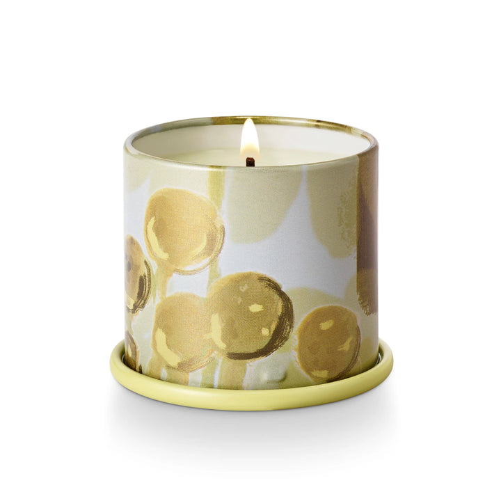 Borealis Moss Tin Candle