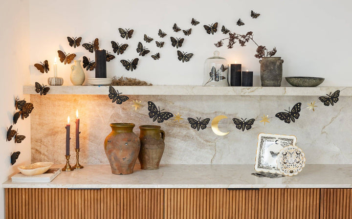 Moths & Stars Banner