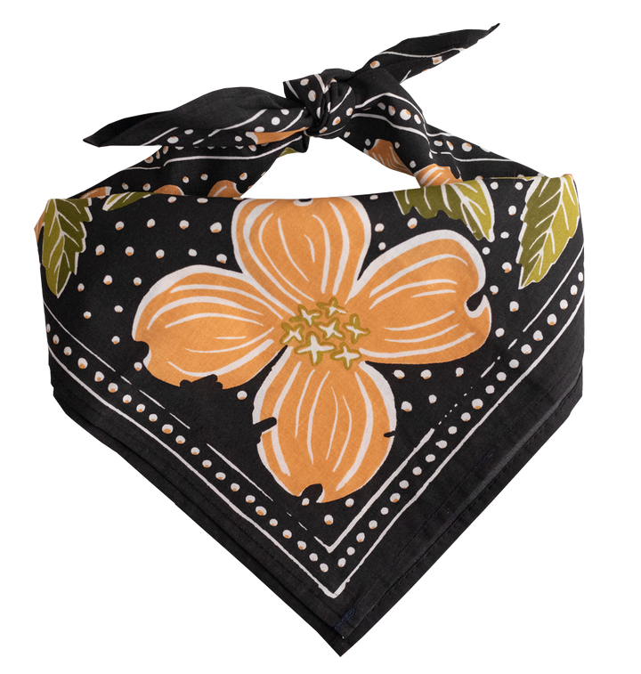 Amy Bandana