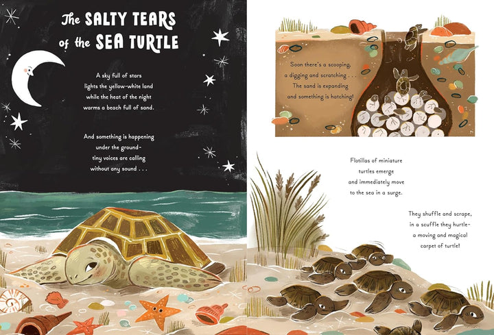 5 - Minute Ocean Stories - Merry PigletsAbrams Books
