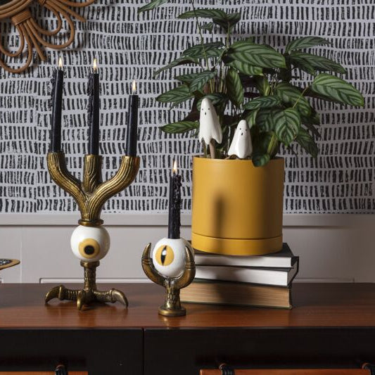 Ghost Plant Sticks Set