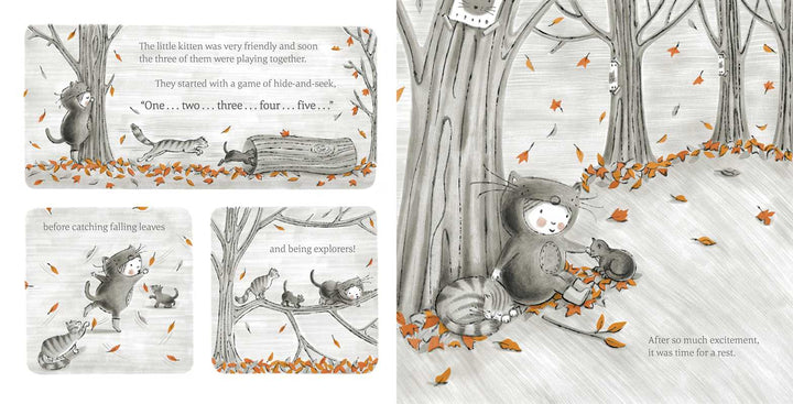 The Little Kitten Book