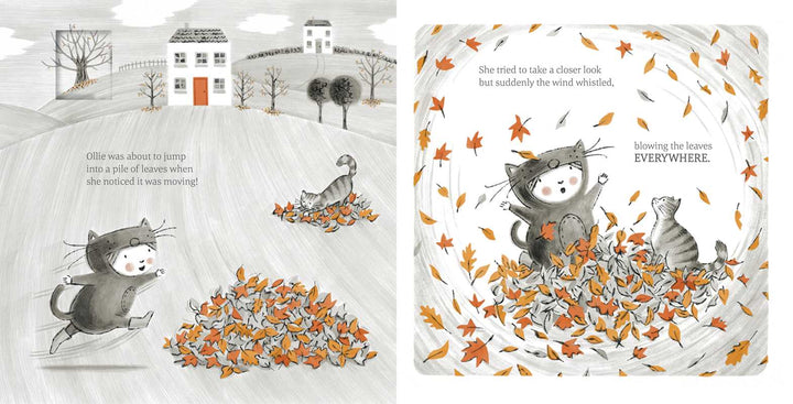 The Little Kitten Book
