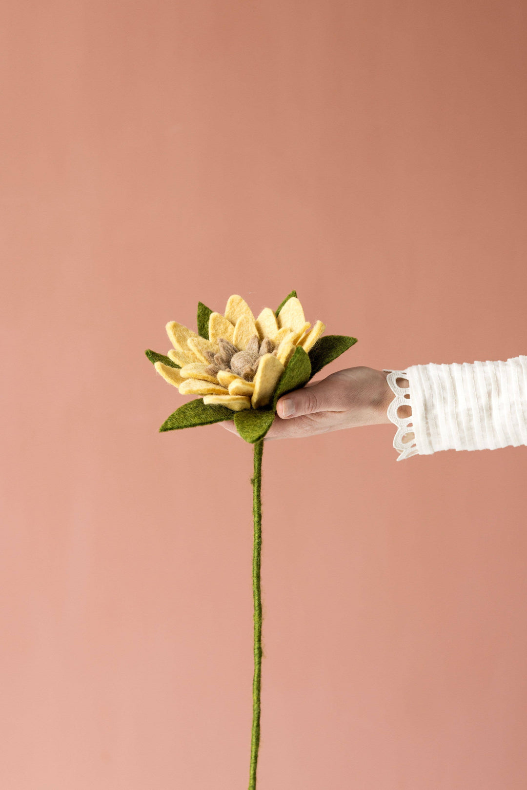 Yellow Wool Sunflower