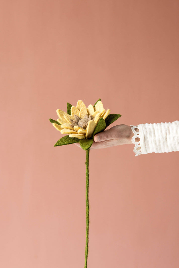 Yellow Wool Sunflower