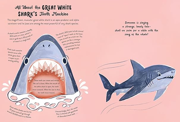 5-Minute Ocean Stories