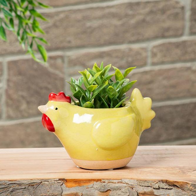 Small Chicken Planter