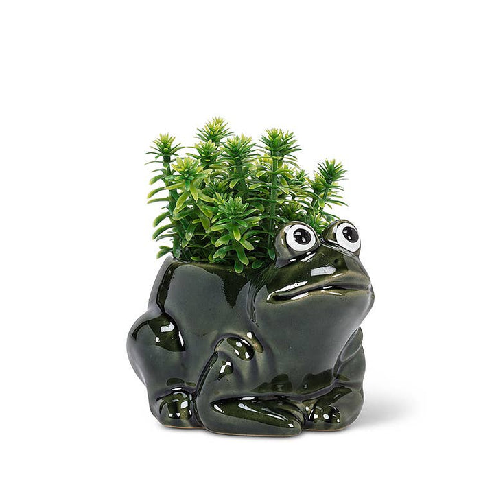 Frog Planter