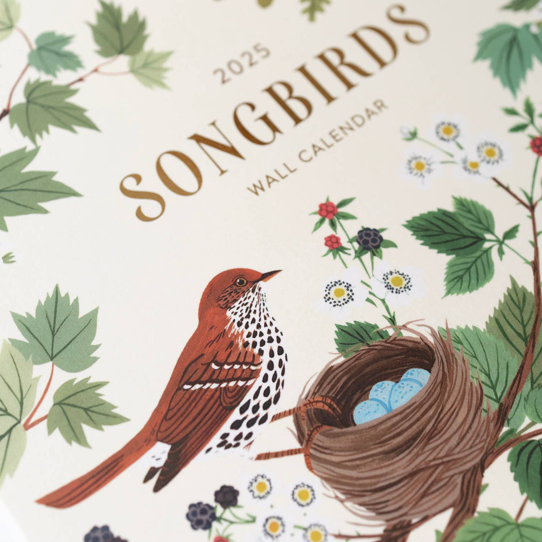 Song Birds 2025 Wall Calendar