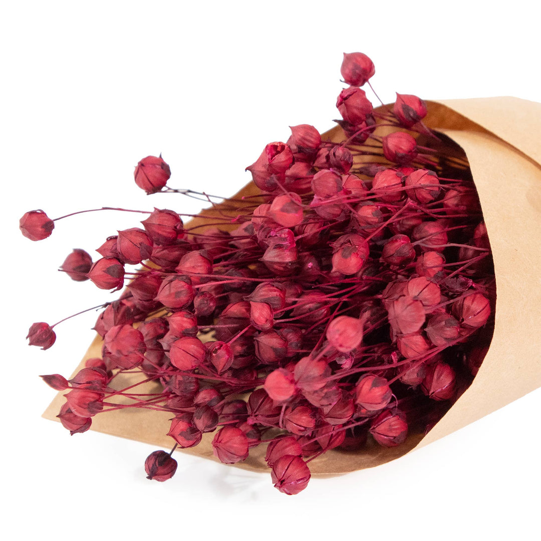 Merlot Flax Mini Dried Bundle