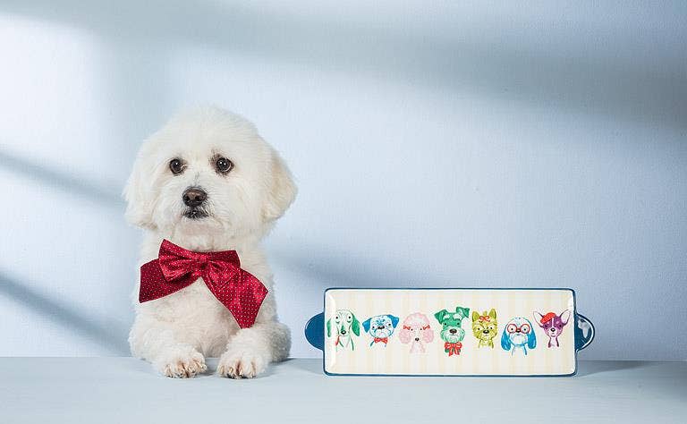 Fancy Dog Tray