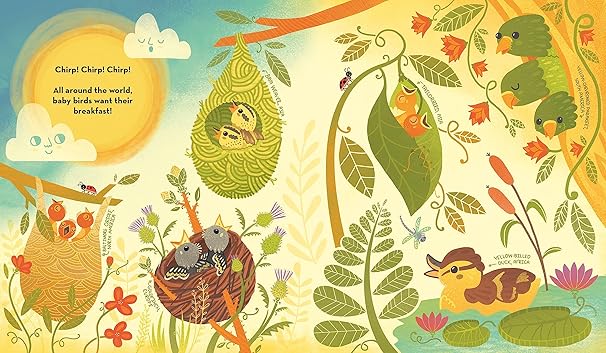 What's Inside a Bird's Nest?
