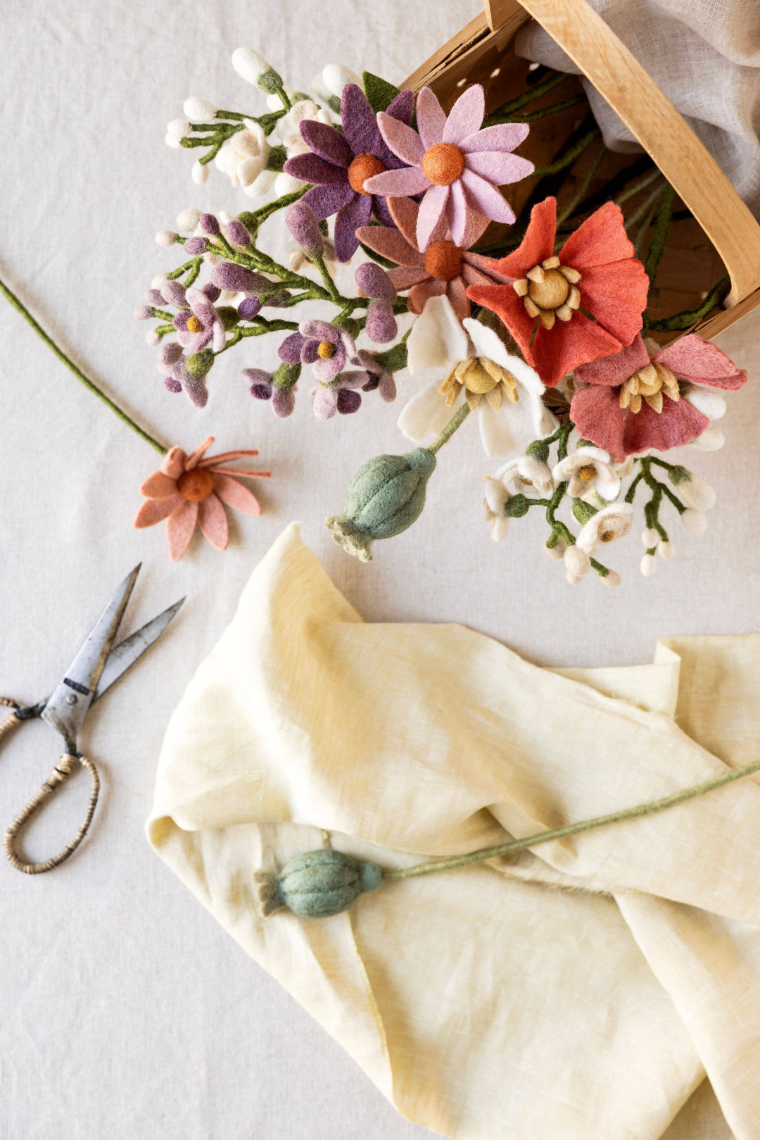 Raspberry Wool Poppy