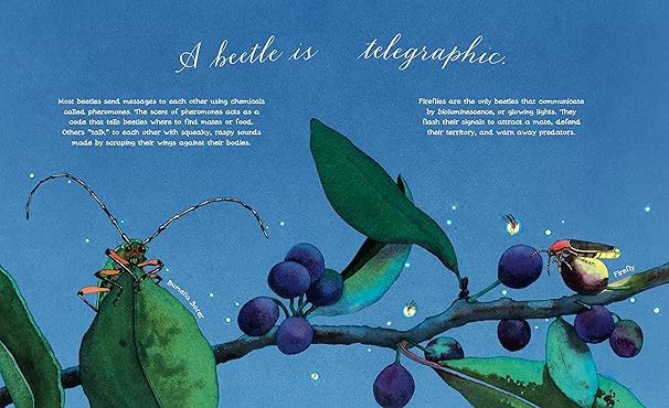 A Beetle is Shy Book - Merry PigletsChronicle Books