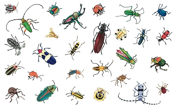 A Beetle is Shy Book - Merry PigletsChronicle Books
