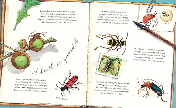 A Beetle is Shy Book - Merry PigletsChronicle Books