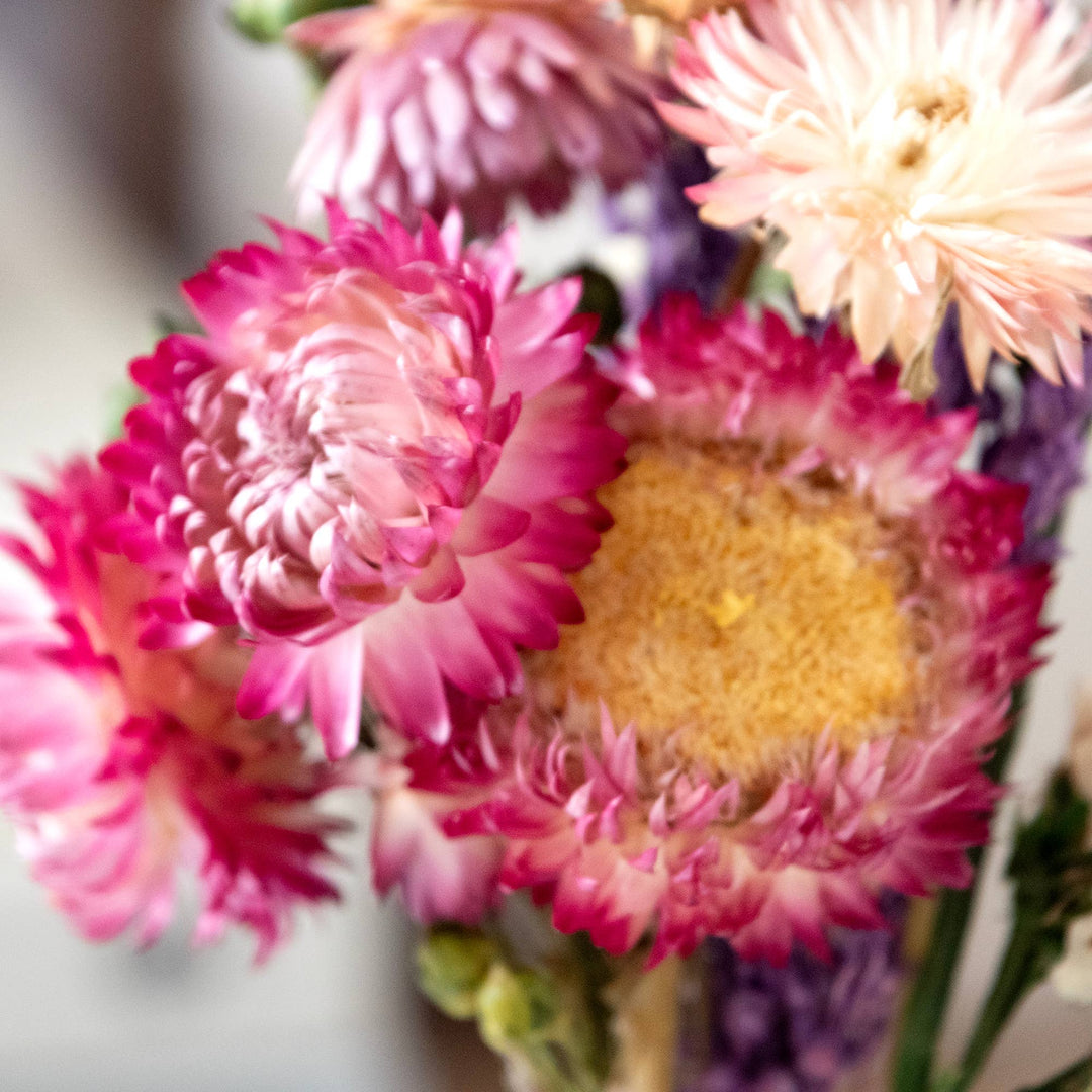 Strawflower & Larkspur Mini Bouquet