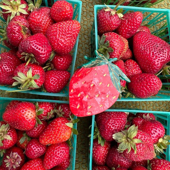 Strawberry Fruit Claw Hair Clip