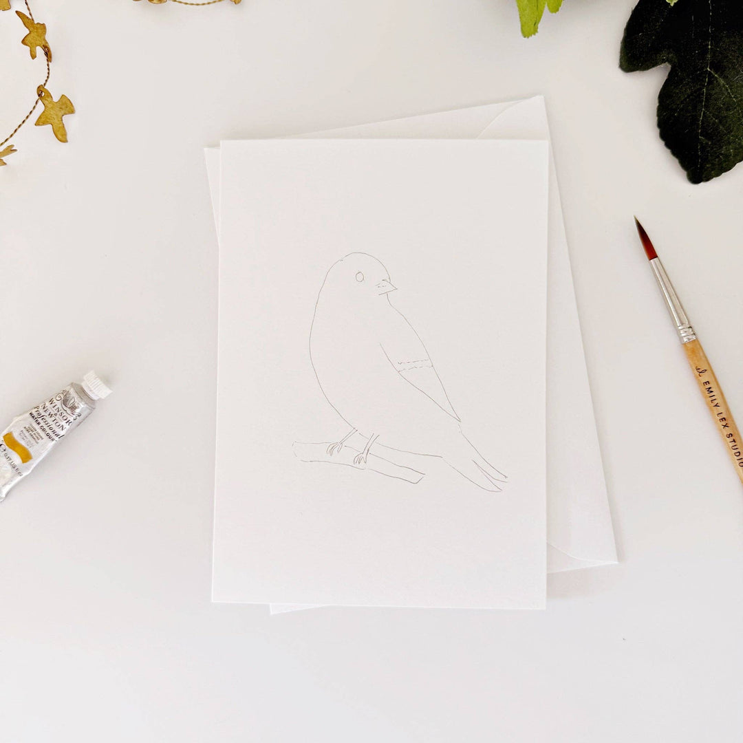 Backyard Birds Paintable Notecards - Merry Pigletsemily lex studio