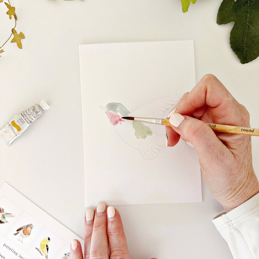 Backyard Birds Paintable Notecards - Merry Pigletsemily lex studio