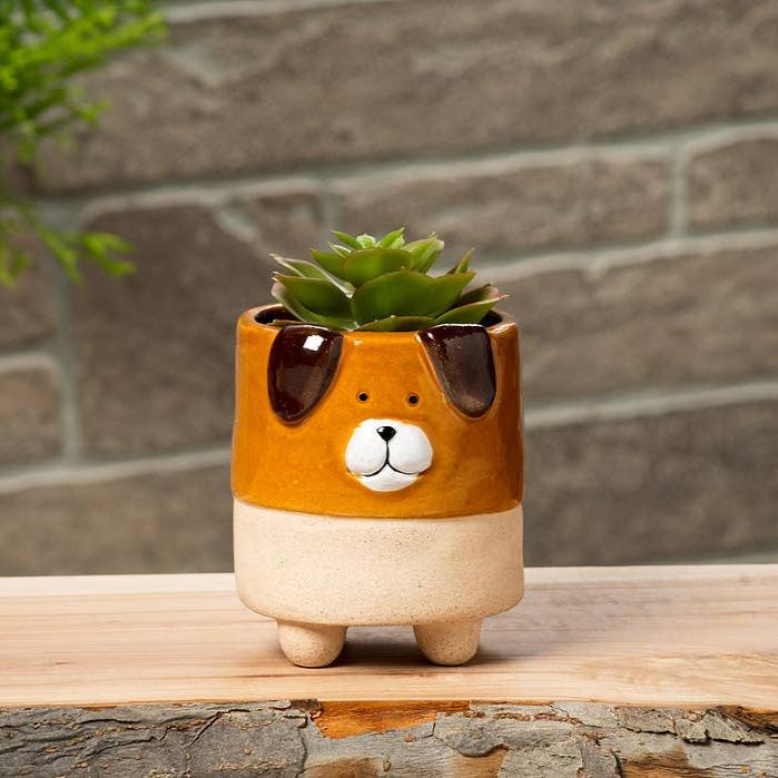 Small Dog Planter