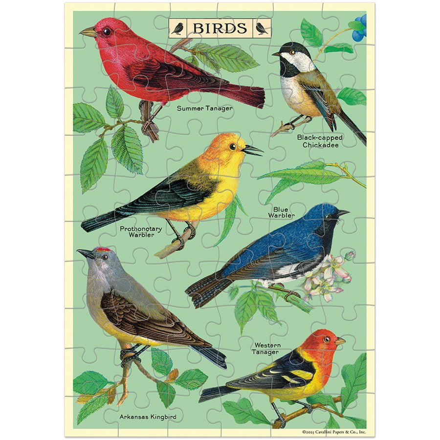 Bird Watching Puzzle Greeting Card - Merry PigletsCavallini Papers & Co.