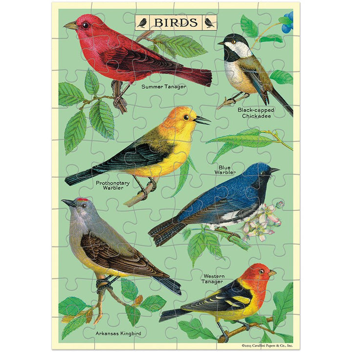Bird Watching Puzzle Greeting Card - Merry PigletsCavallini Papers & Co.