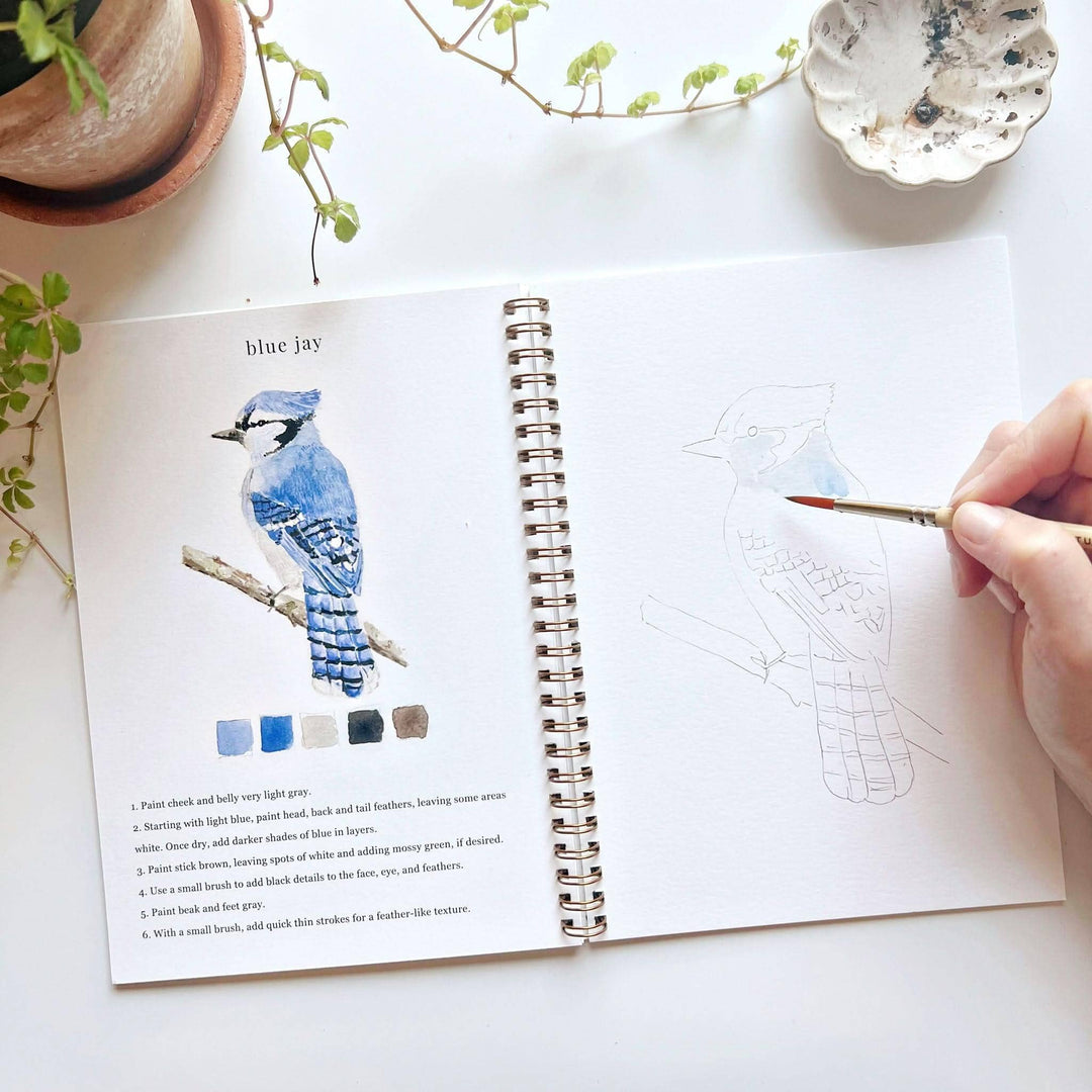 Birds Watercolor Workbook - Merry Pigletsemily lex studio