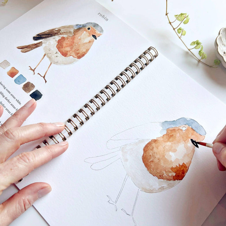 Birds Watercolor Workbook - Merry Pigletsemily lex studio