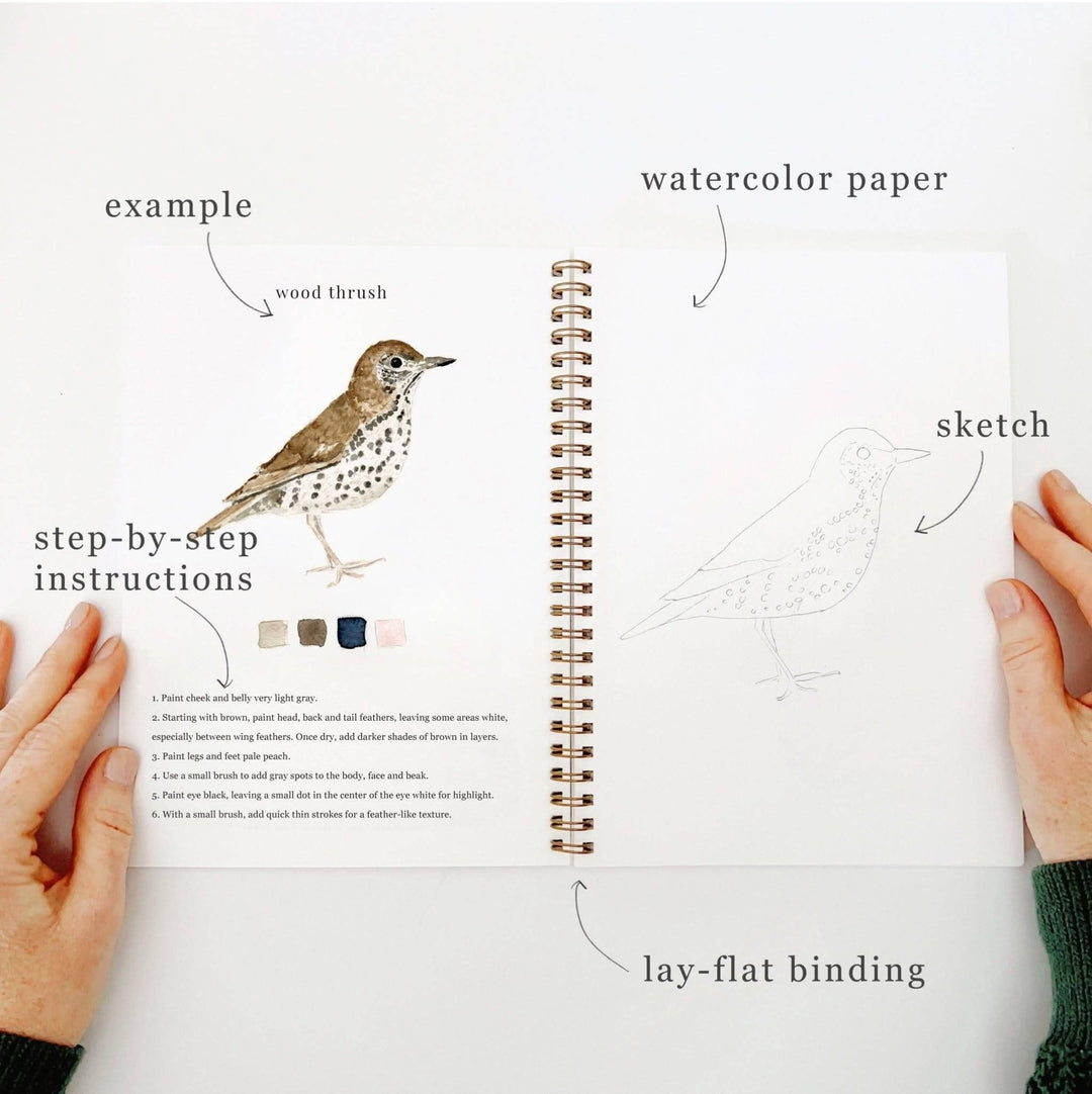 Birds Watercolor Workbook - Merry Pigletsemily lex studio