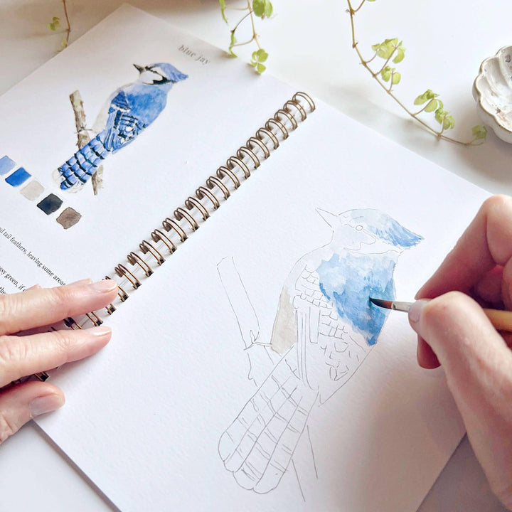Birds Watercolor Workbook - Merry Pigletsemily lex studio