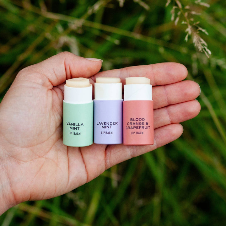 Blood Orange & Grapefruit Lip Balm - Merry PigletsGood Flower Farm