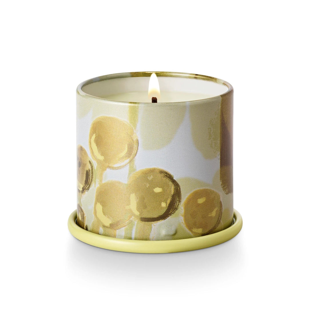 Borealis Moss Tin Candle - Merry PigletsIllume
