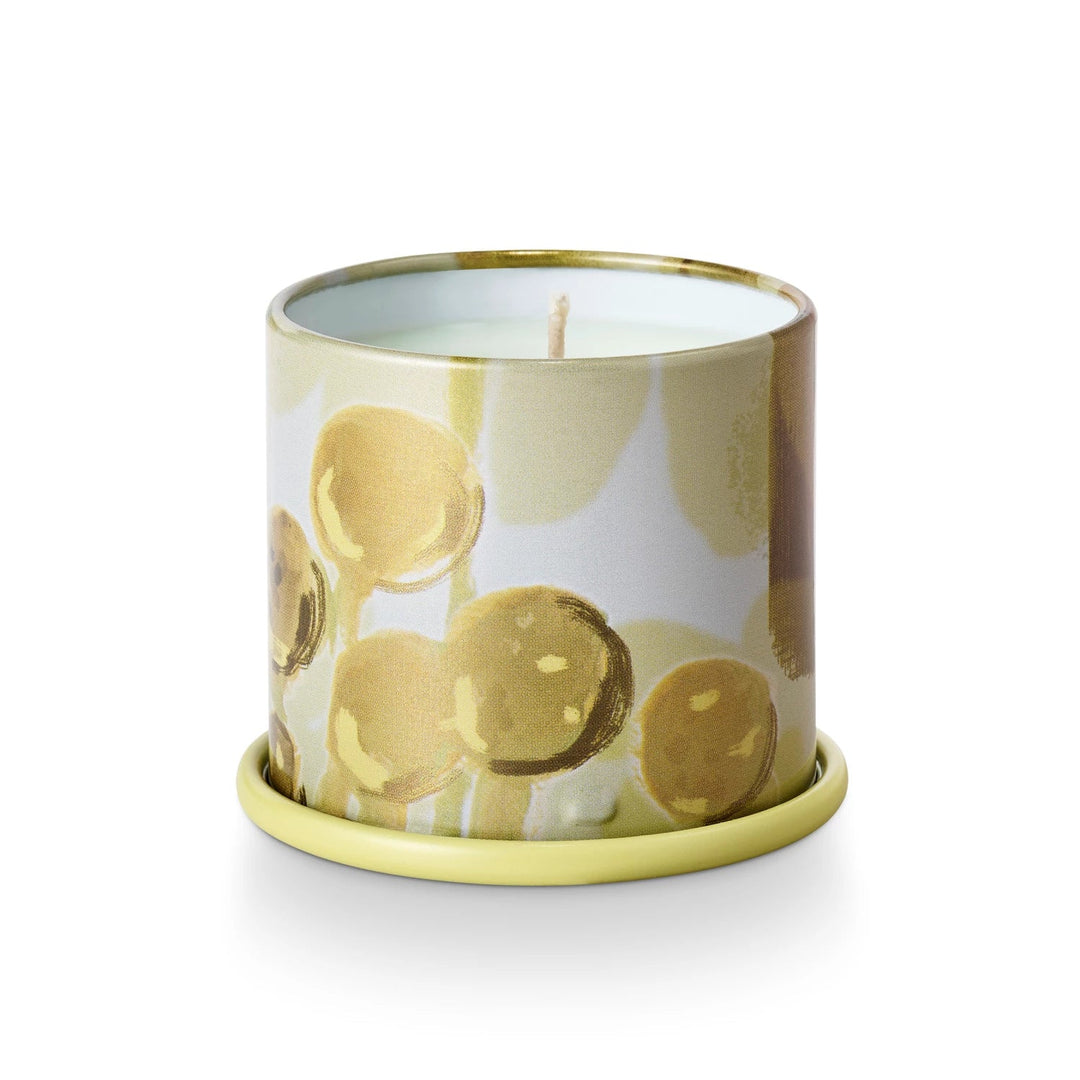 Borealis Moss Tin Candle - Merry PigletsIllume