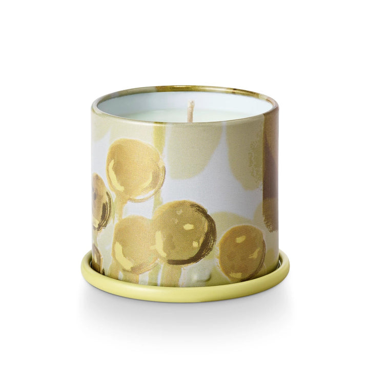 Borealis Moss Tin Candle - Merry PigletsIllume