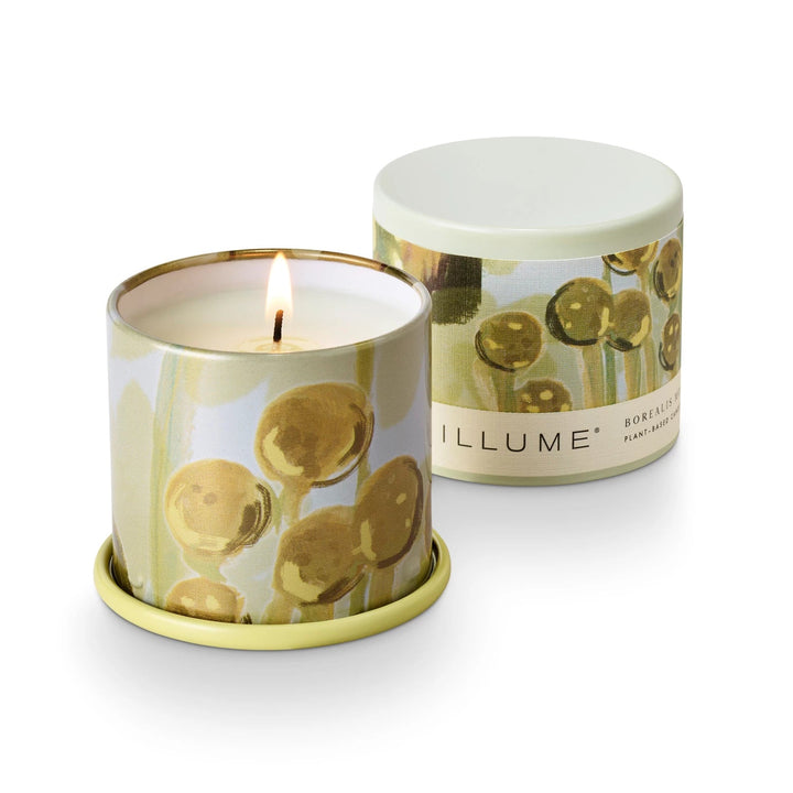 Borealis Moss Tin Candle - Merry PigletsIllume
