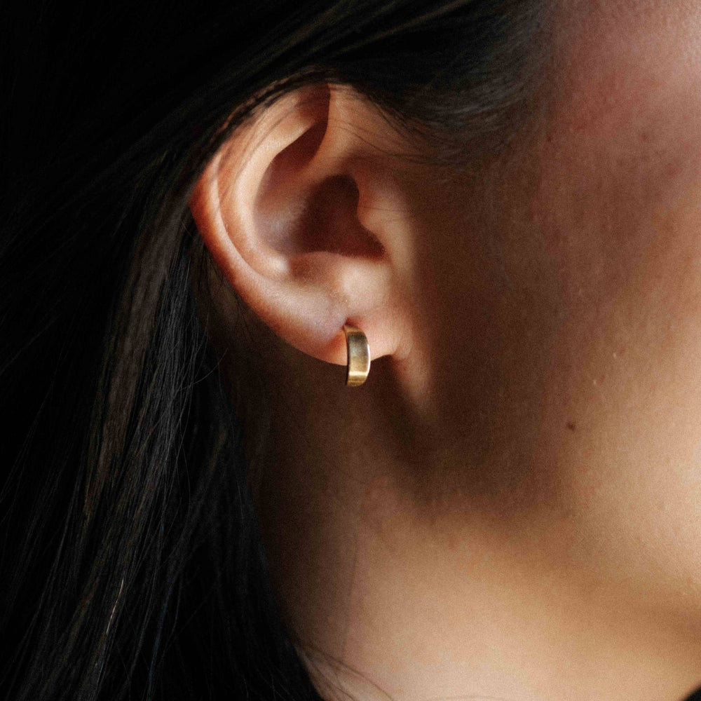 Brass Pisa Hoops - Merry PigletsCommonform